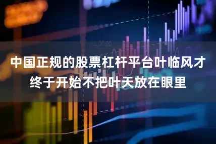 中国正规的股票杠杆平台叶临风才终于开始不把叶天放在眼里