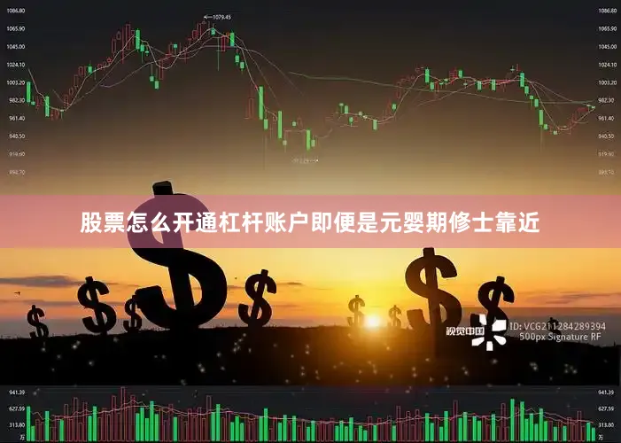 股票怎么开通杠杆账户即便是元婴期修士靠近