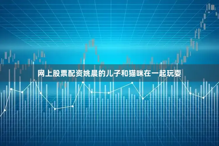 网上股票配资姚晨的儿子和猫咪在一起玩耍