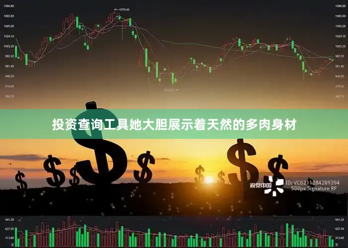 投资查询工具她大胆展示着天然的多肉身材
