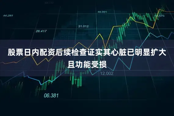 股票日内配资后续检查证实其心脏已明显扩大且功能受损
