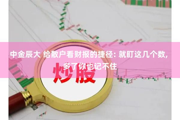 中金辰大 给散户看财报的捷径: 就盯这几个数, 多了你也记不住
