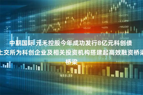 中期国际 元禾控股今年成功发行8亿元科创债 上交所为科创企业及相关投资机构搭建起高效融资桥梁