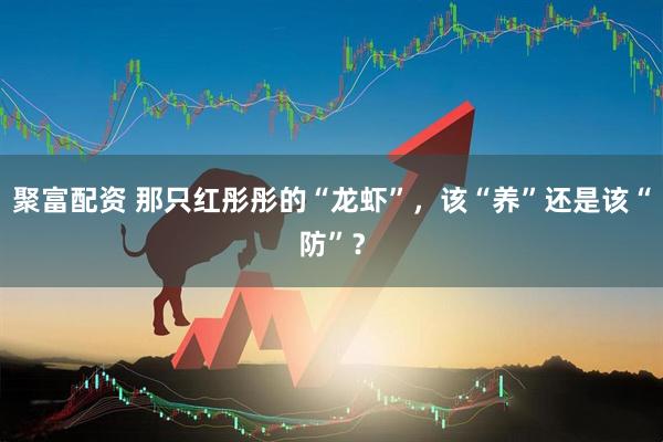 聚富配资 那只红彤彤的“龙虾”，该“养”还是该“防”？