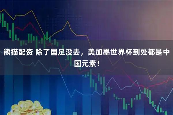 熊猫配资 除了国足没去，美加墨世界杯到处都是中国元素！